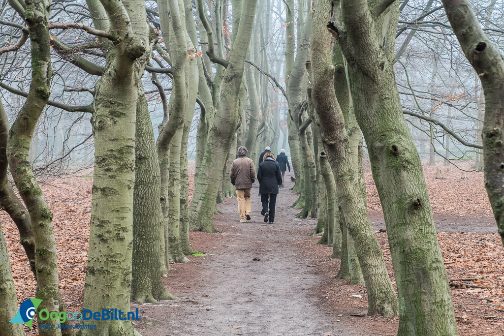 Wandelen na de kerkdienst